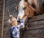 Child petting a horse