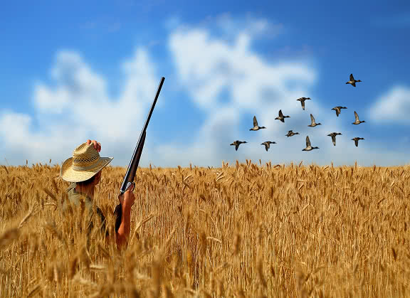 A man in a field with a rifle